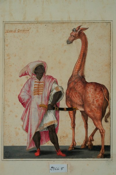 Berber with a Giraffe by Jacopo Ligozzi